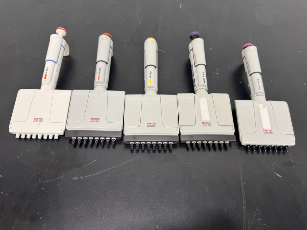 Image of Thermo Fisher F1-ClipTip Multi Channel Pipettes